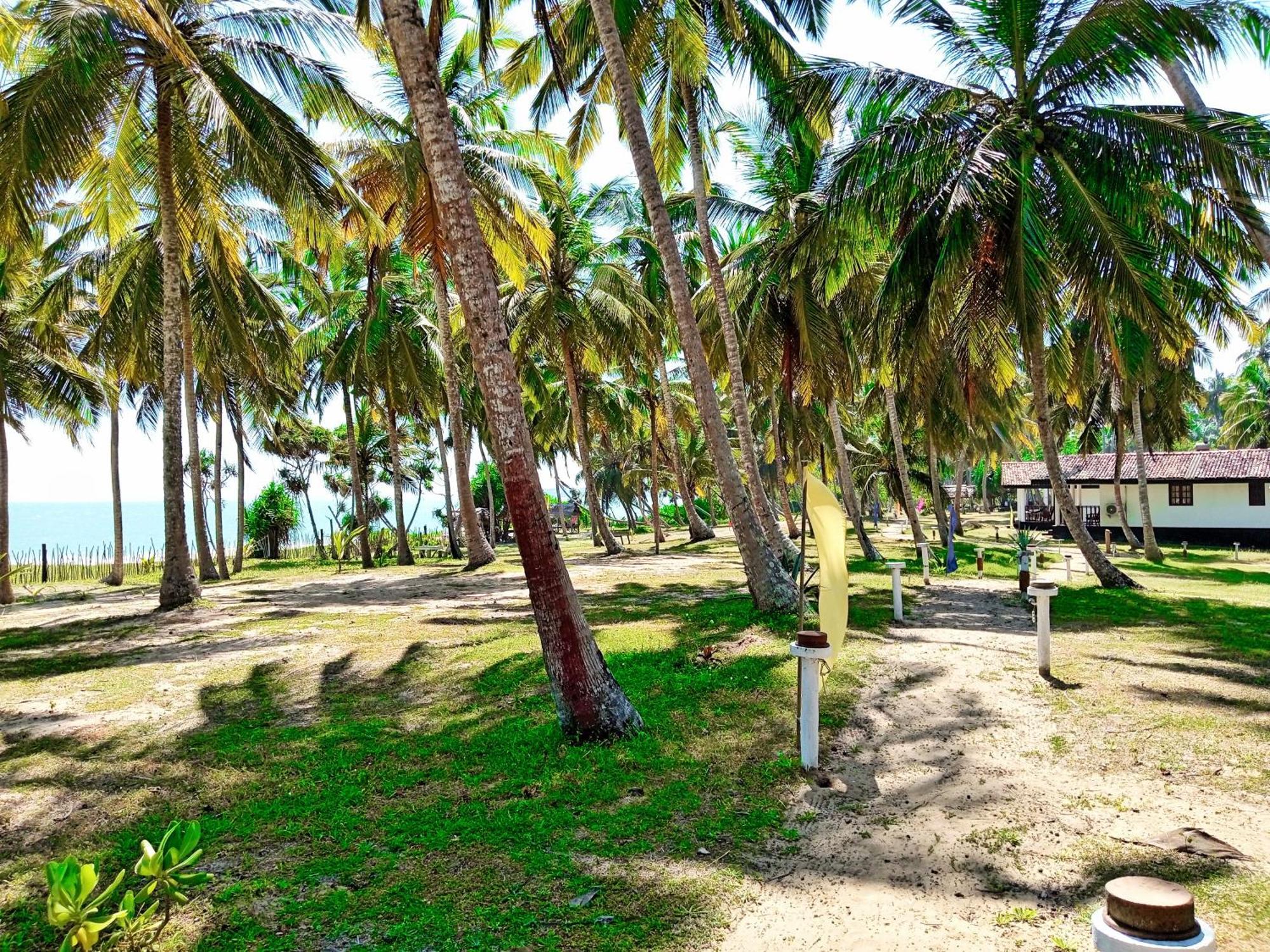 Helios Beach Resort 坦加拉 外观 照片