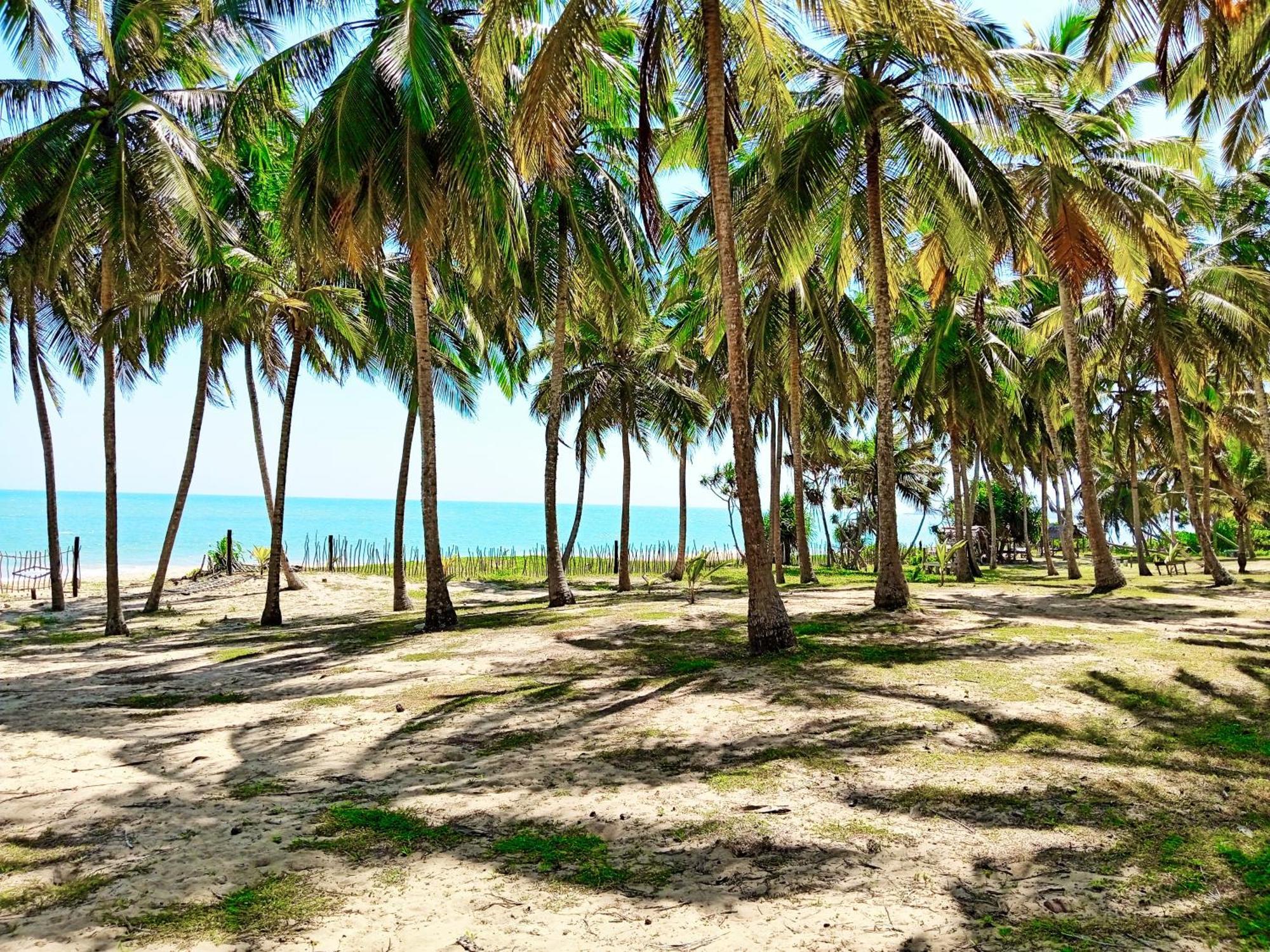 Helios Beach Resort 坦加拉 外观 照片